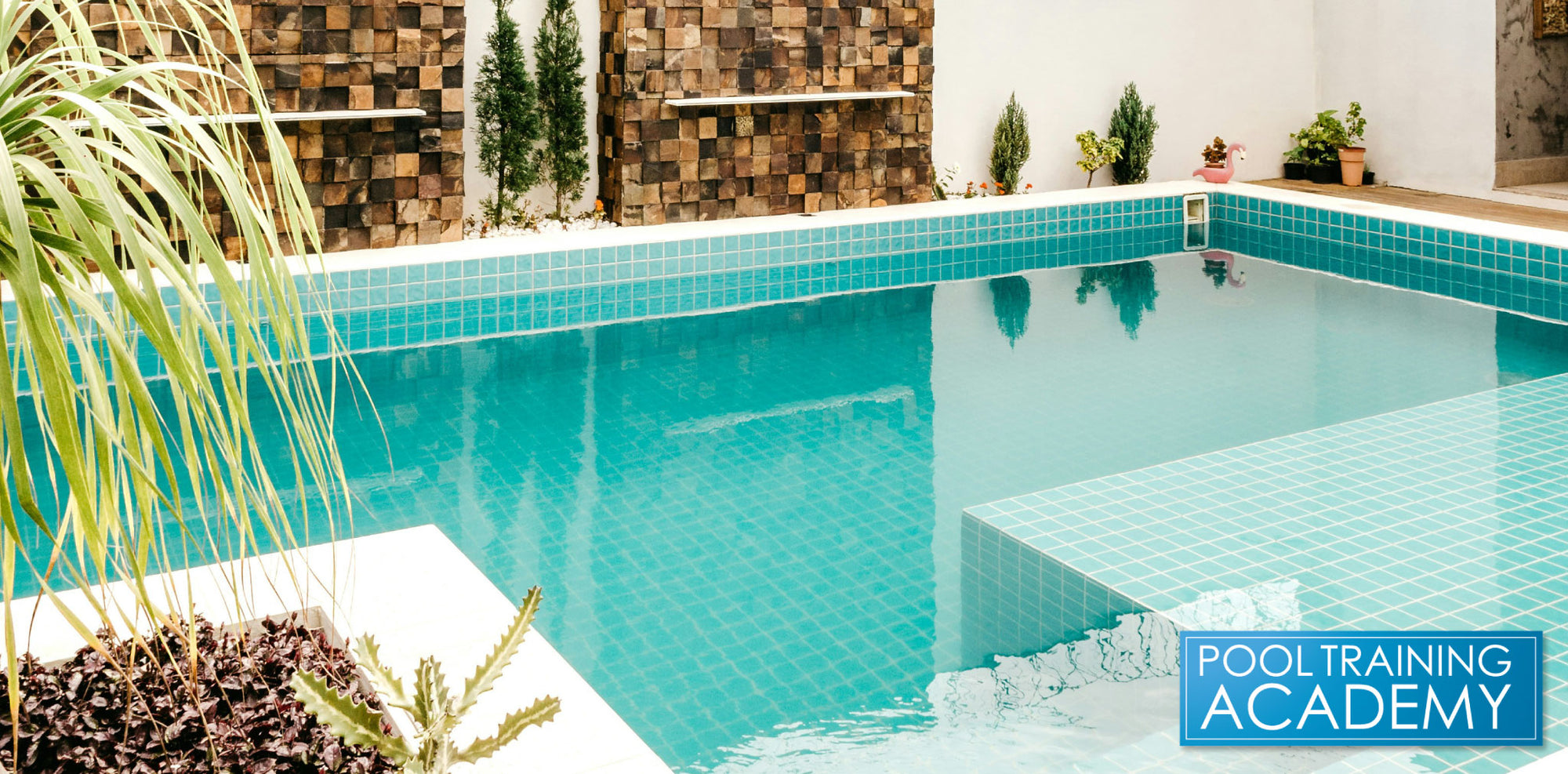 Which Swimming Pool Certification Is The Best?